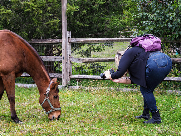 Spirit's Promise Horse Rescue 2023