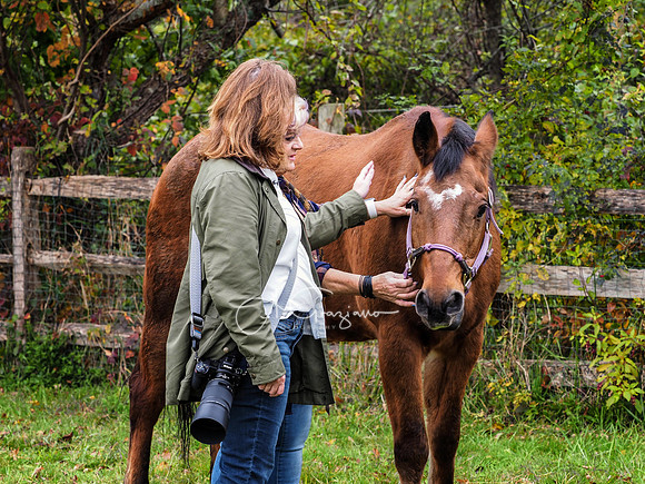 Spirit's Promise Horse Rescue 2023