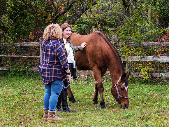 Spirit's Promise Horse Rescue 2023