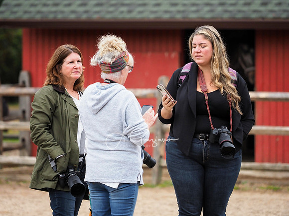 Spirit's Promise Horse Rescue 2023