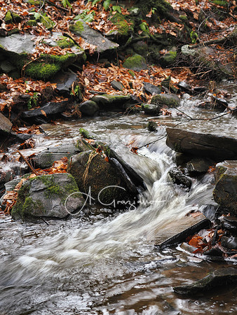 Catskills West