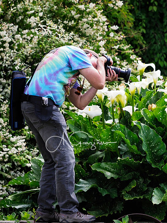 Landcraft Gardens Workshop 2024