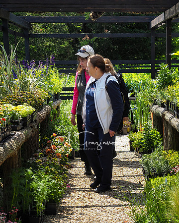 Landcraft Gardens Workshop 2022
