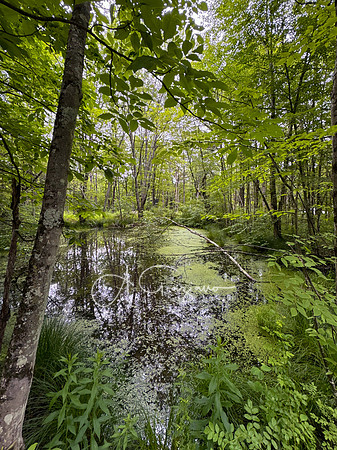Getaway - Catskills East 2024