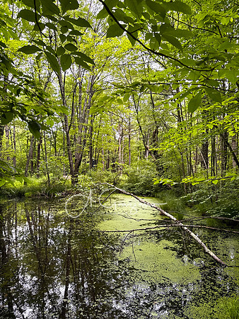 Getaway - Catskills East 2024