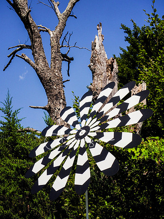 CEED Art on the Trail 2024