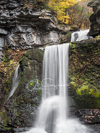 Cow Sheds Falls - Fillmore Glen State Park