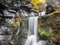 Cow Sheds Falls - Fillmore Glen State Park- Fillmore Glen State Park