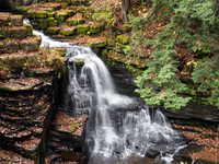 Upper Falls - Fillmore Glen State Park