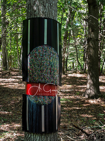 CEED Art on the Trail 2024