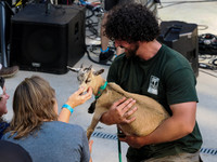 Adam Ezra Band - Foundation for Wildlife Sustainability