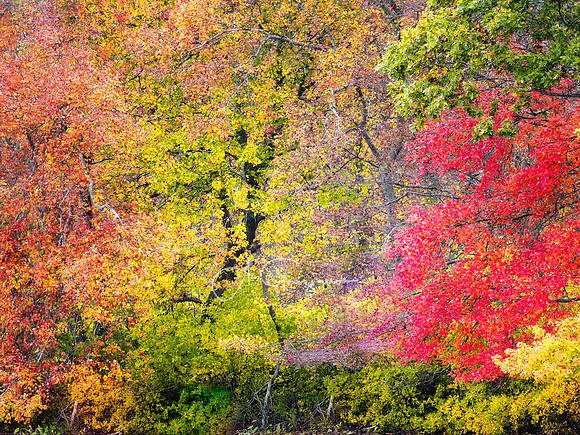 Autumn Pallet - Emma Rose Elliston Park, North Sea