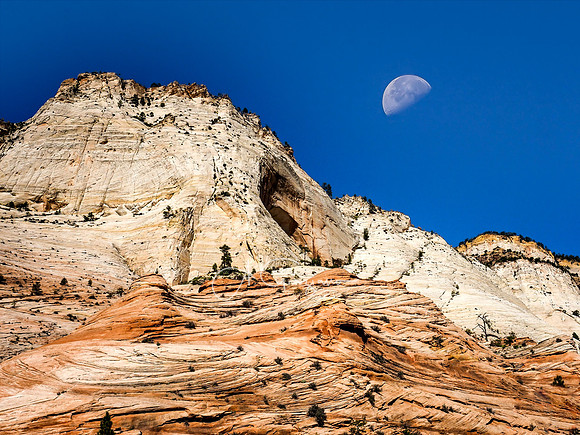 Zion  NP