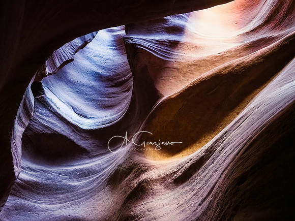 Pathways