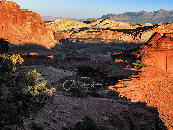 Capitol Reef NP