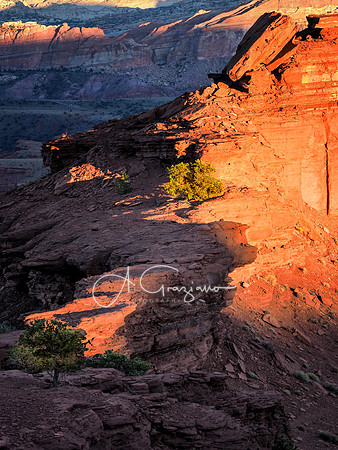 Capitol Reef NP