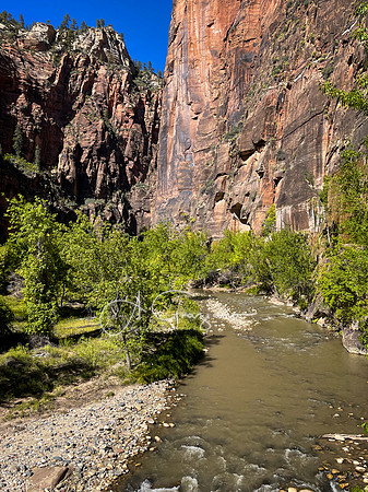 Zion  NP