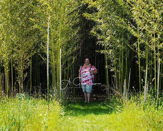 Landcraft Gardens Workshop 2022