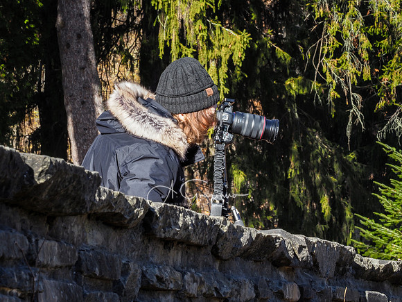 Letchworth Workshop