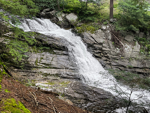 Hague Brook - Adirondacks
