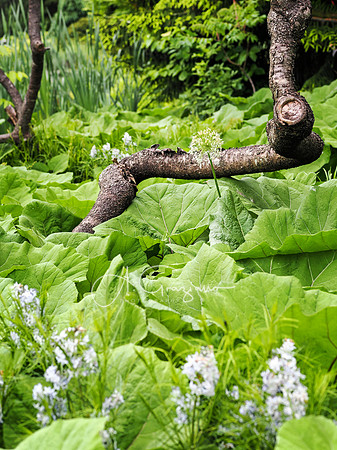 Landcraft Gardens