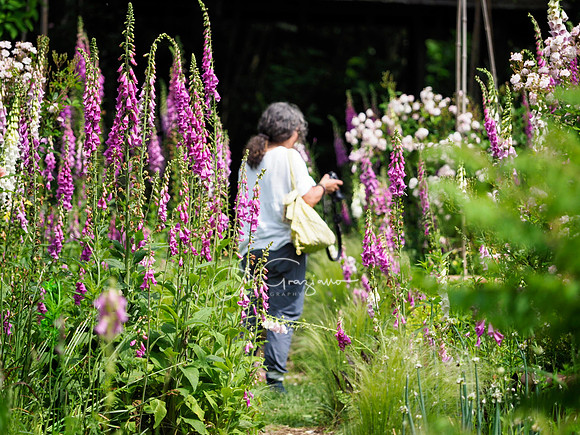 Landcraft Gardens Workshop 2024