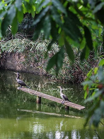 Botanical Garden of Medellin