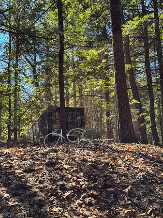 Postcard Cabins - Blake Brook