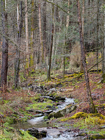 Catskills West