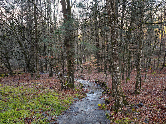 Catskills West