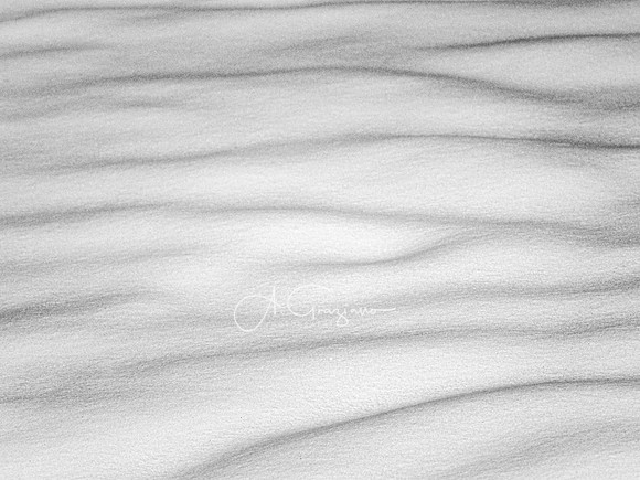 Ridge Conservation Area 2021 - minimalism