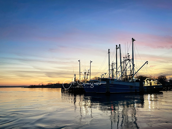 The Fleet - Greenport Harbor