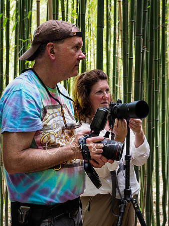 Landcraft Gardens Workshop 2024
