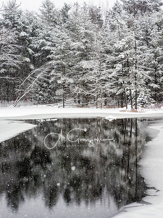 Adirondacks
