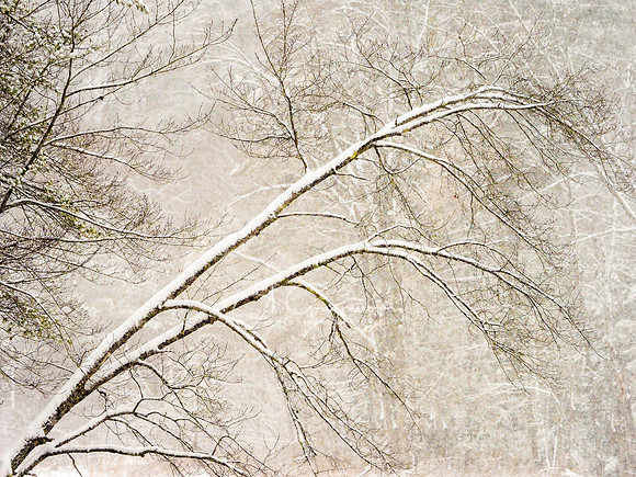Gentle Snow - Adirondacks