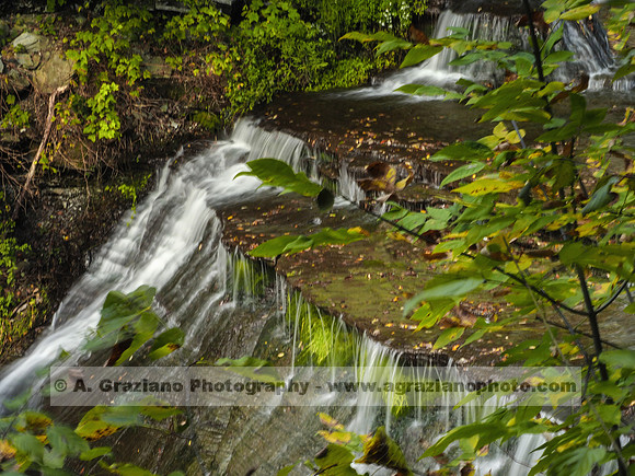 Wolf Creek, Letchworth SP