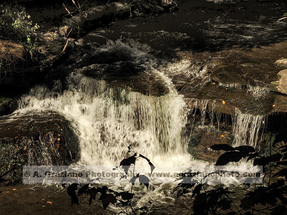Wolf Creek, Letchworth SP