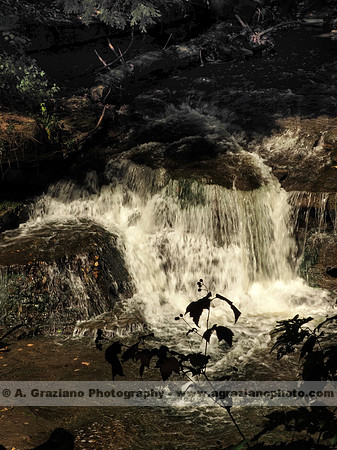 Wolf Creek, Letchworth SP