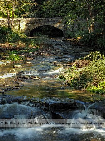 Wolf Creek, Letchworth SP