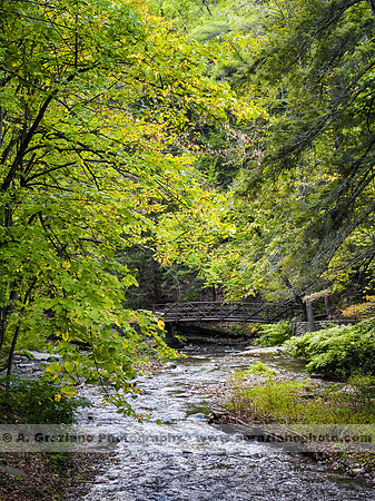Wolf Creek, Letchworth SP