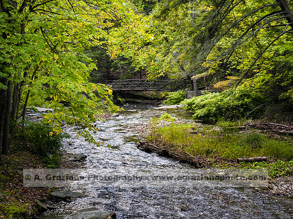 Wolf Creek, Letchworth SP