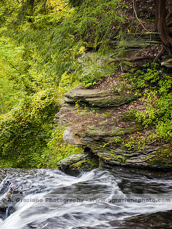 Wolf Creek, Letchworth SP