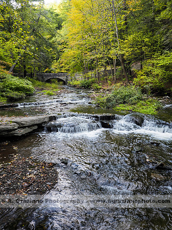 Wolf Creek, Letchworth SP