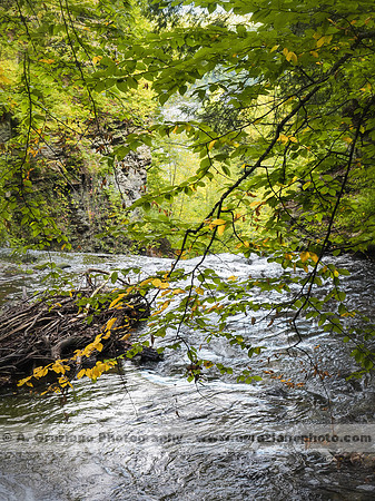 Wolf Creek, Letchworth SP