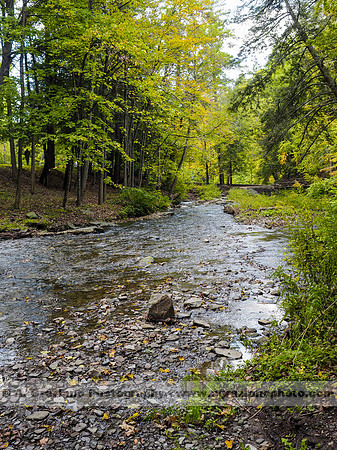 Wolf Creek, Letchworth SP