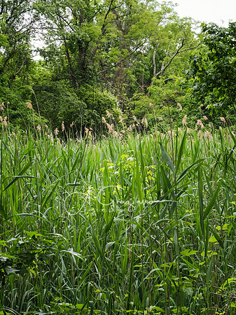 National Trail Day at Upland Farm 2025