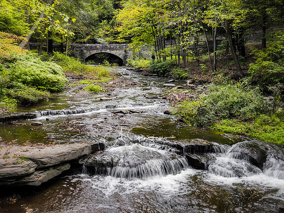 Wolf Creek, Letchworth SP