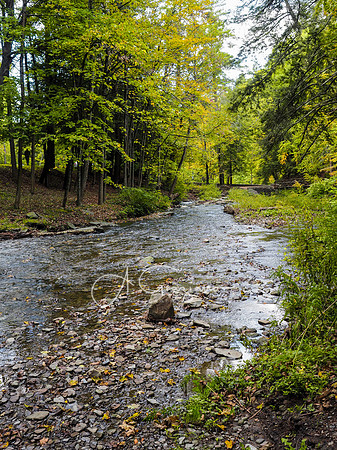 Wolf Creek, Letchworth SP