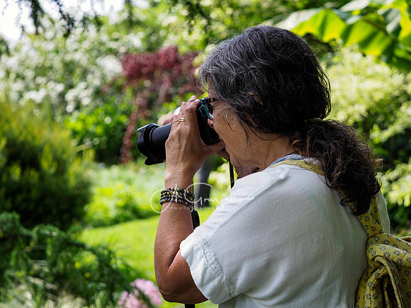 Landcraft Gardens Workshop 2024