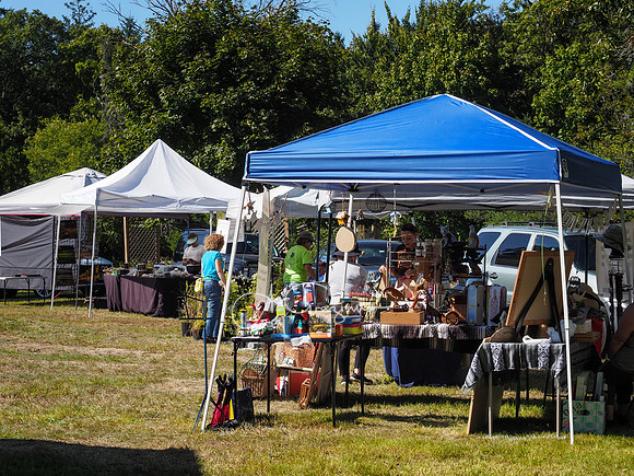 CEED Fall Festival 2019